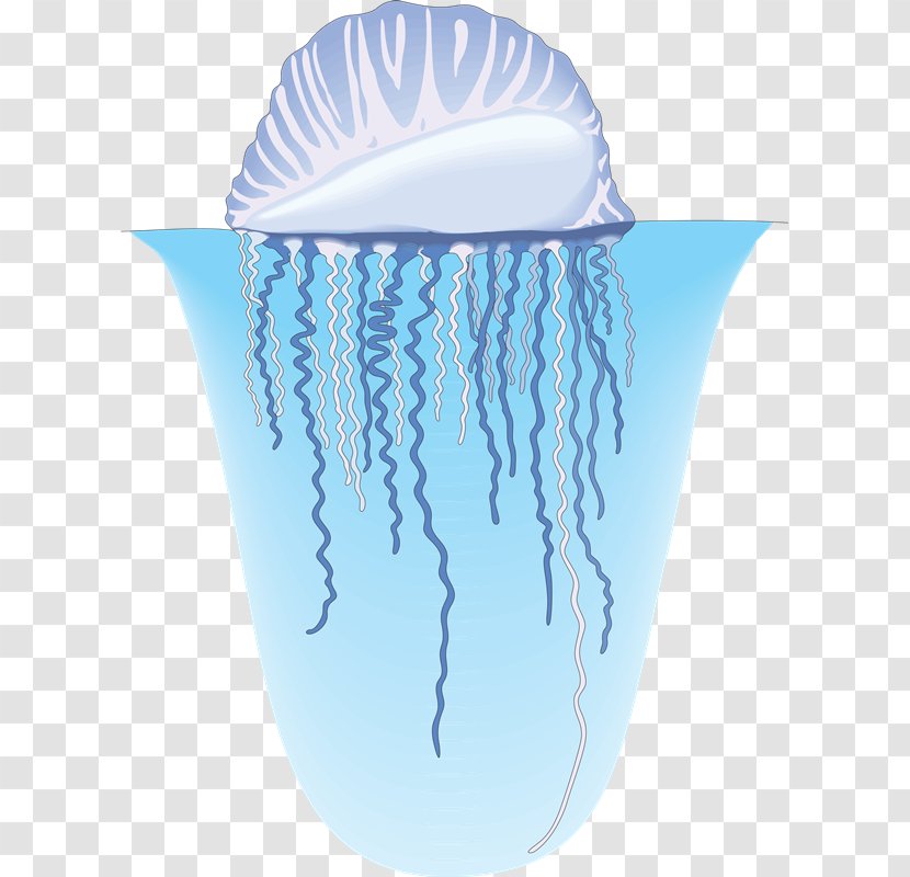 Jellyfish Nekton Clam Organism Sea - Mol Transparent PNG