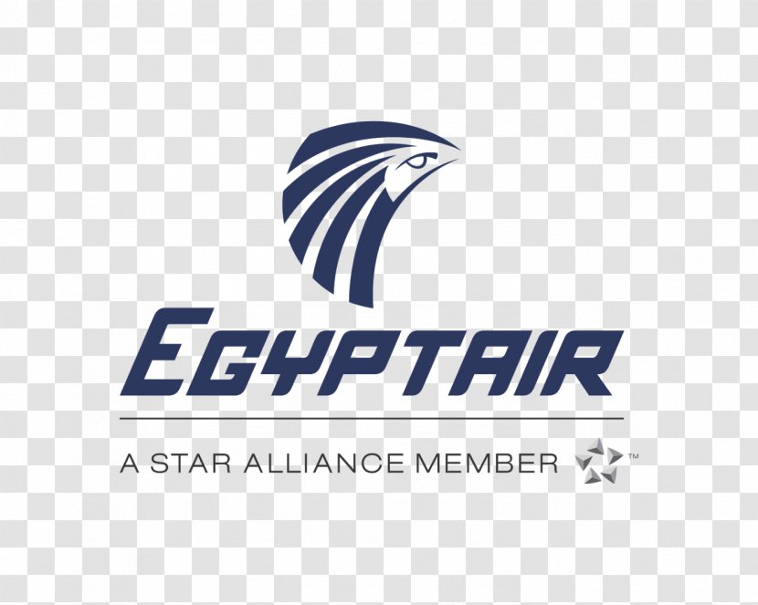 Hurghada International Airport Cairo Borg El Arab EgyptAir Airbus A330 - Star Alliance Transparent PNG