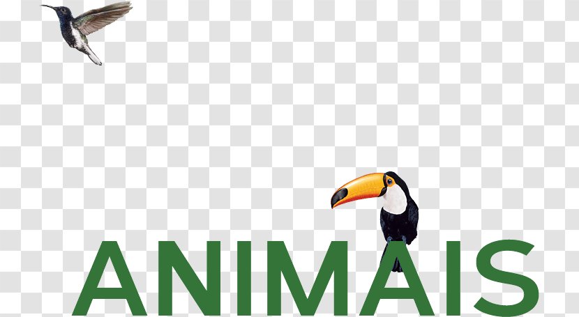 Toucan Logo Advertising Brand Beak - Wing - Bird Transparent PNG