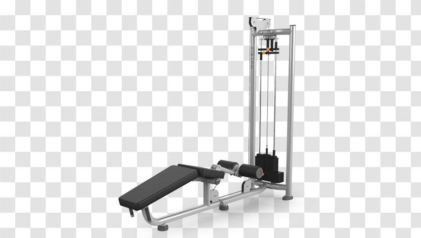 Weightlifting Machine Fitness Centre - Exercise Equipment - Repair Station Transparent PNG