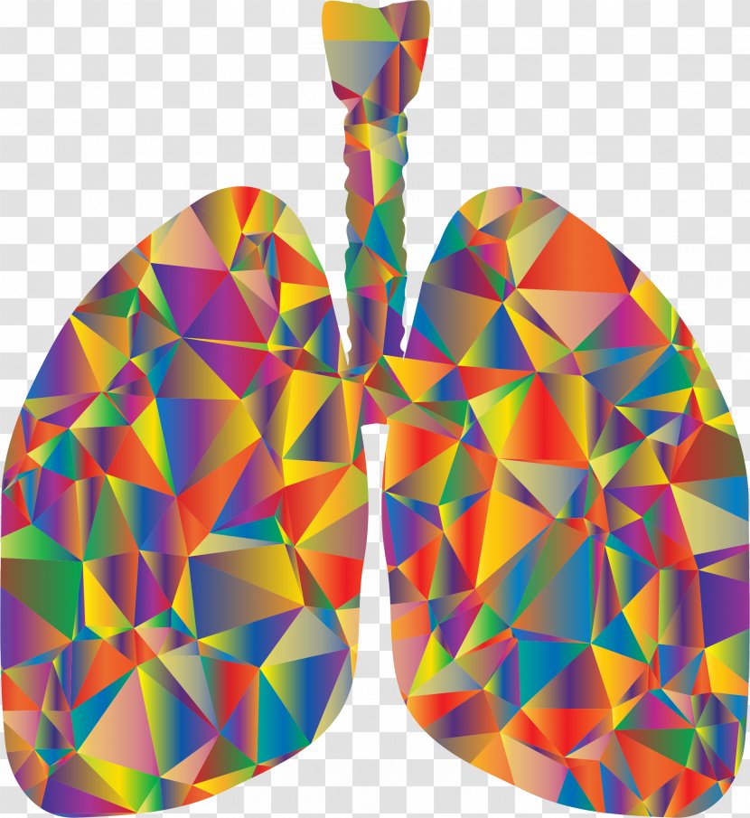 Lung T-shirt Respiratory System Clip Art - Silhouette - Low Poly Transparent PNG