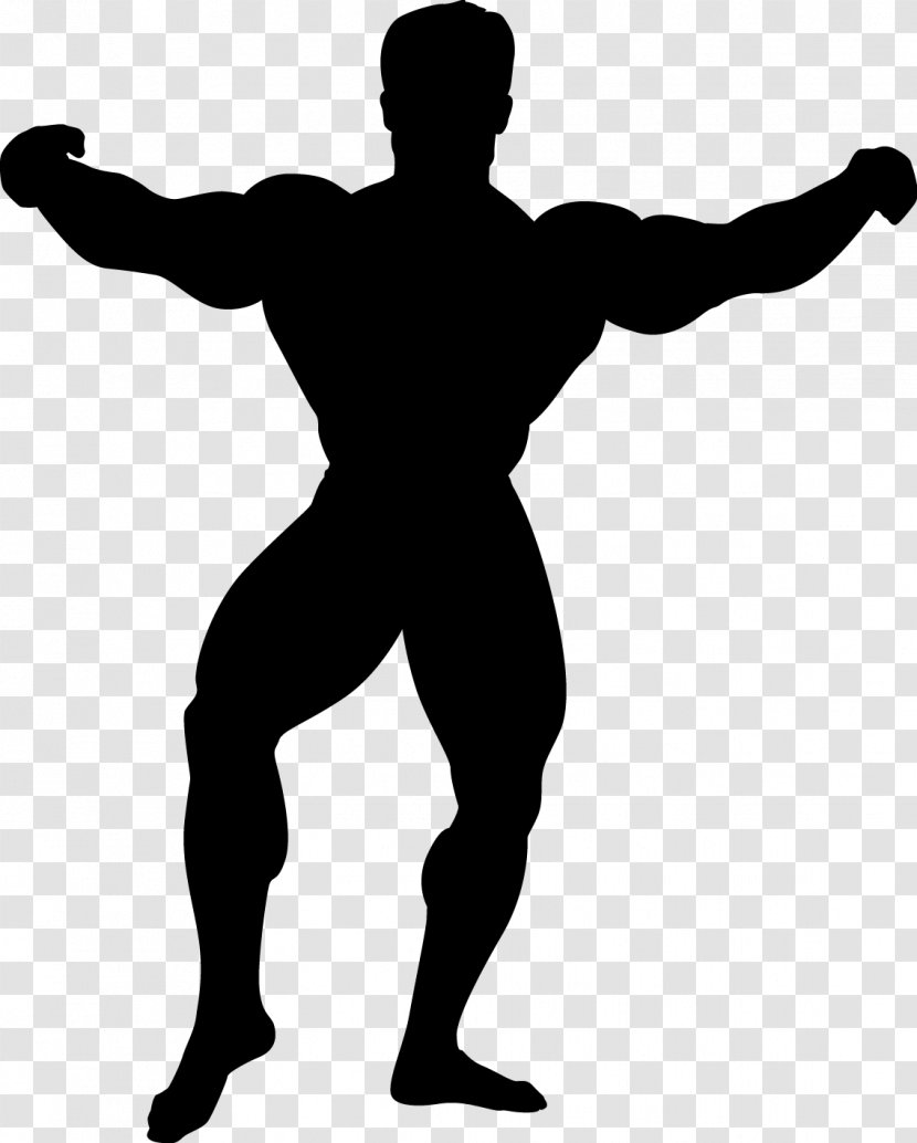 Sticker Bodybuilding Exercise Street Workout Clip Art - Standing - Torso Background Body Builder Transparent PNG