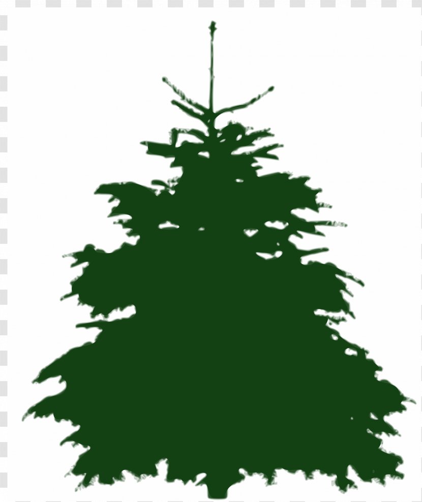 Tree Fir Silhouette - Christmas Ornament - Spruce Transparent PNG