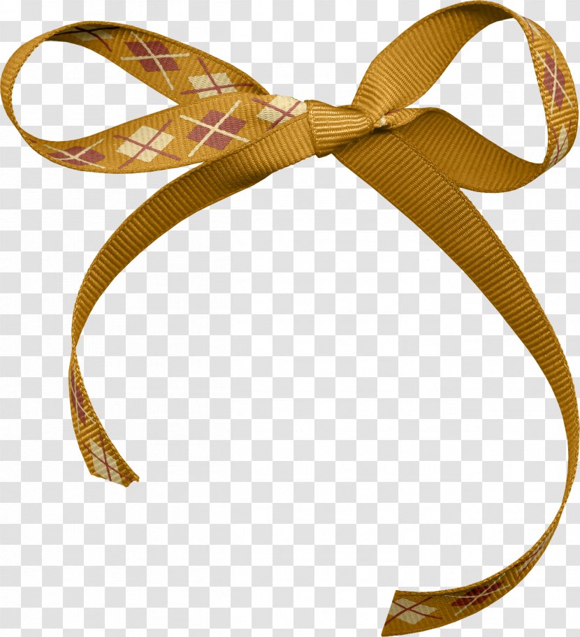 Paper Blog WordPress Ribbon Gift - November - Autumn Has Set In Transparent PNG