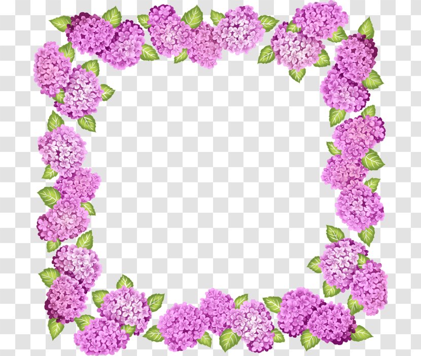 Picture Frame Flower Purple Clip Art - Box Transparent PNG