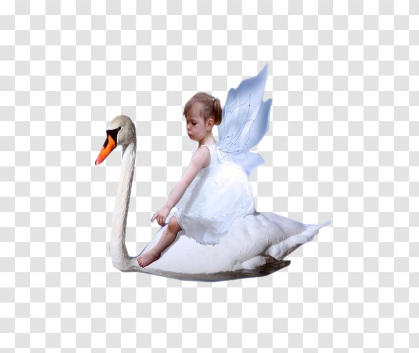 Cygnini Duck Child Painting Infant - Figurine - Enfant Transparent PNG