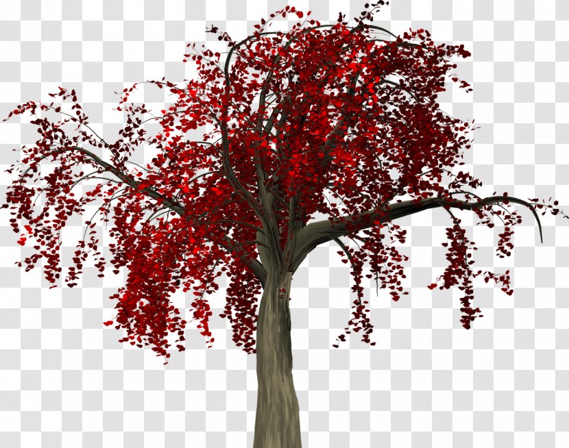 Twig Tree Clip Art - Autumn Transparent PNG