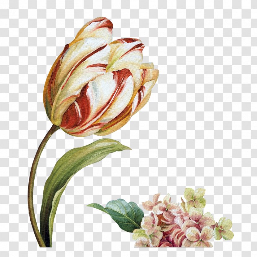 Cut Flowers Floral Design Painting - Floristry - Audit Transparent PNG