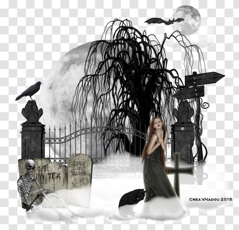 Stock Photography Weeping Willow Human Behavior - Lavende Transparent PNG