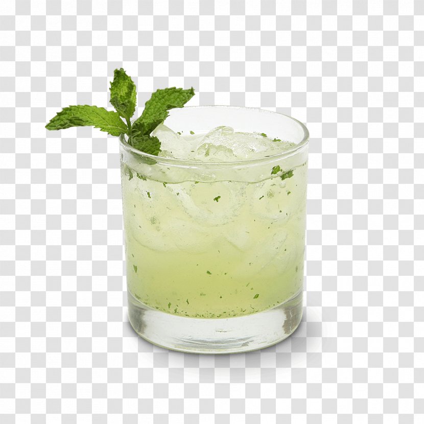 Mint Julep Vodka Mojito Caipirinha Rickey - Cocktail Garnish - Jalapeno Poppers Transparent PNG