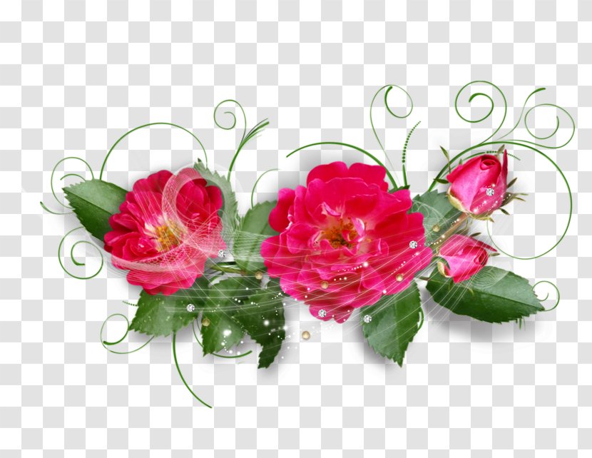 Garden Roses Flower Floral Design - Fate Transparent PNG