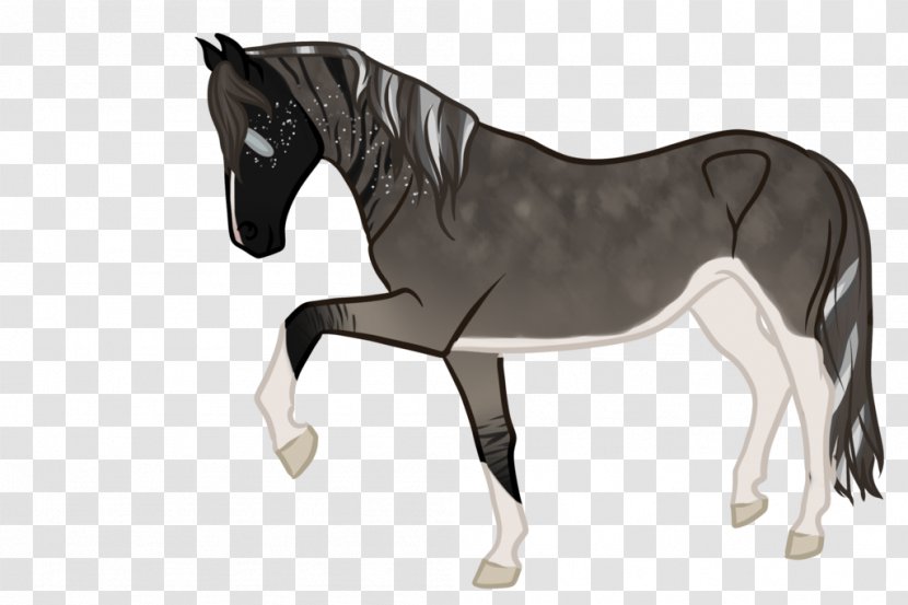 Pony Mustang Stallion Bridle Horse Harnesses - Tack - Sub-title Transparent PNG