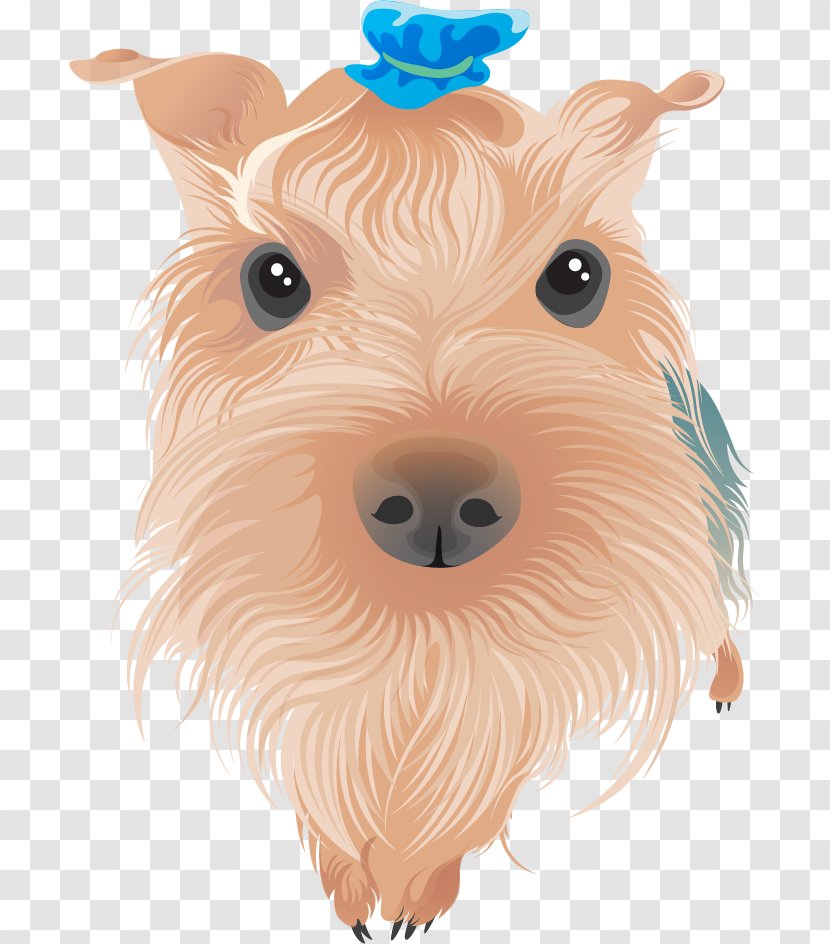 Yorkshire Terrier Airedale Bull Boston - Dog Crossbreeds - Vector Painted Transparent PNG