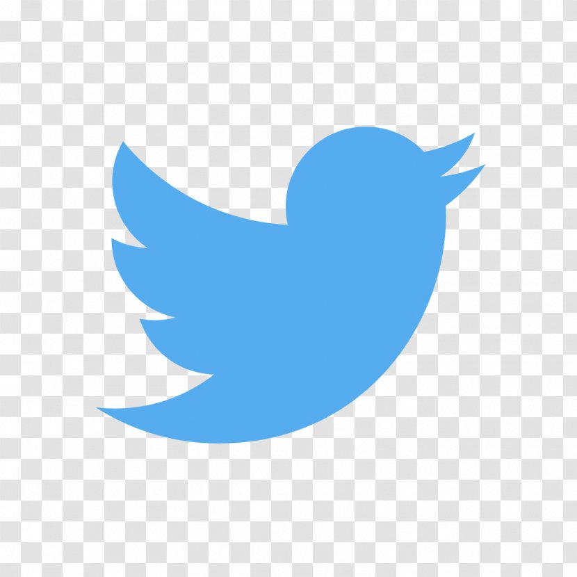 Social Media YouTube - Logo - Twitter Transparent PNG