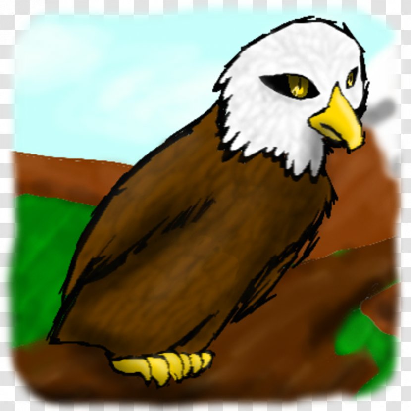 Owl Eagle Hawk Beak Feather - Warrior Transparent PNG