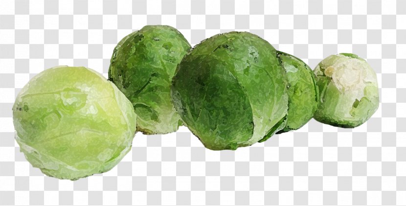 Brussels Sprout Capitata Group Collard Greens Vegetable Food - Dietary Fiber Transparent PNG