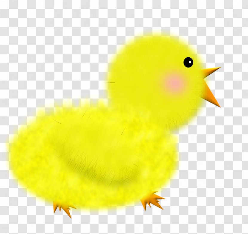 Chicken Yellow Bird - Silhouette - Chick Transparent PNG