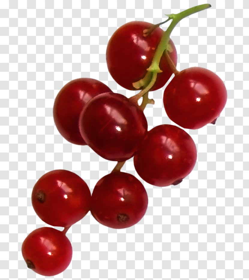 Gooseberry Zante Currant Lingonberry Cranberry - Acerola Family - Strawberry Transparent PNG
