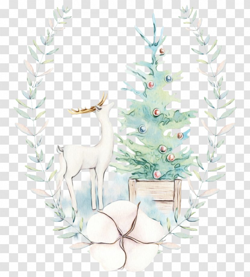 Christmas Tree - Conifer - Pine Family Transparent PNG