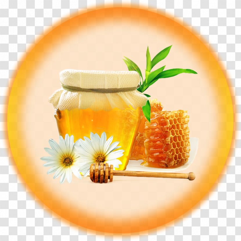 Honey Bee Food Transparent PNG