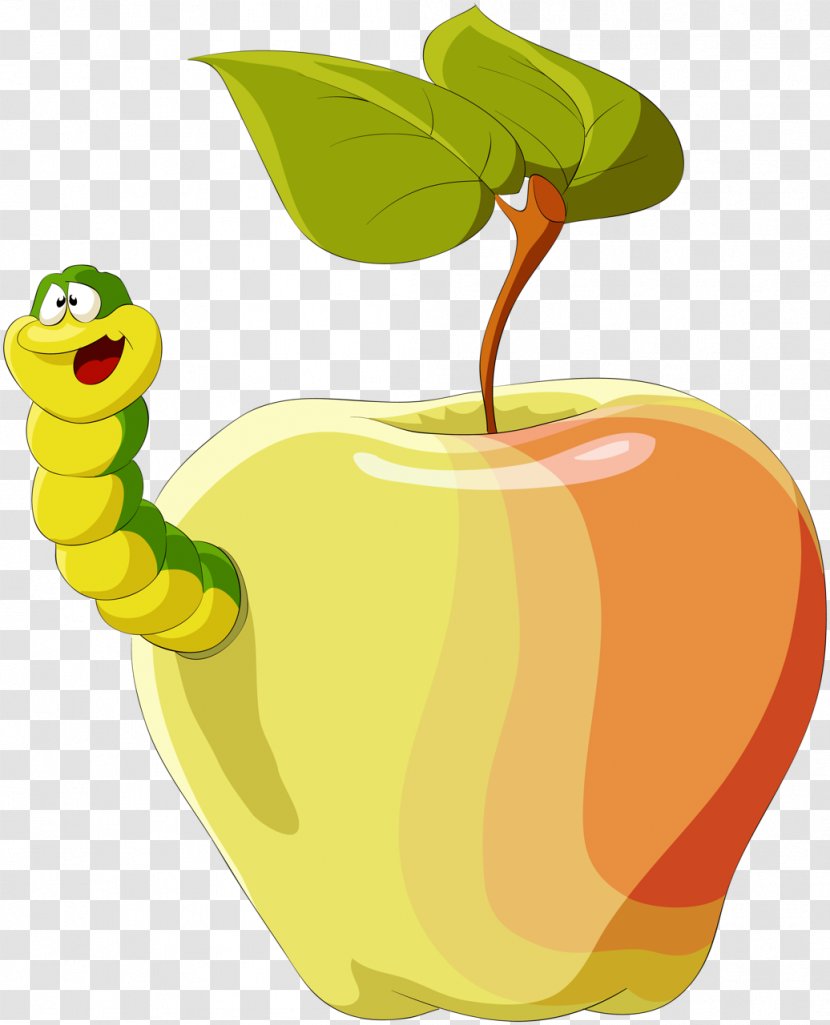 Clip Art - Plant - Apple Transparent PNG