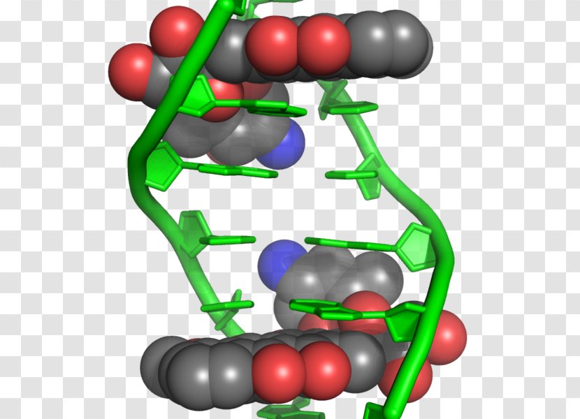 Doxorubicin Intercalation DNA Anthracycline Chemotherapy - Dna - Encyclopedia Transparent PNG