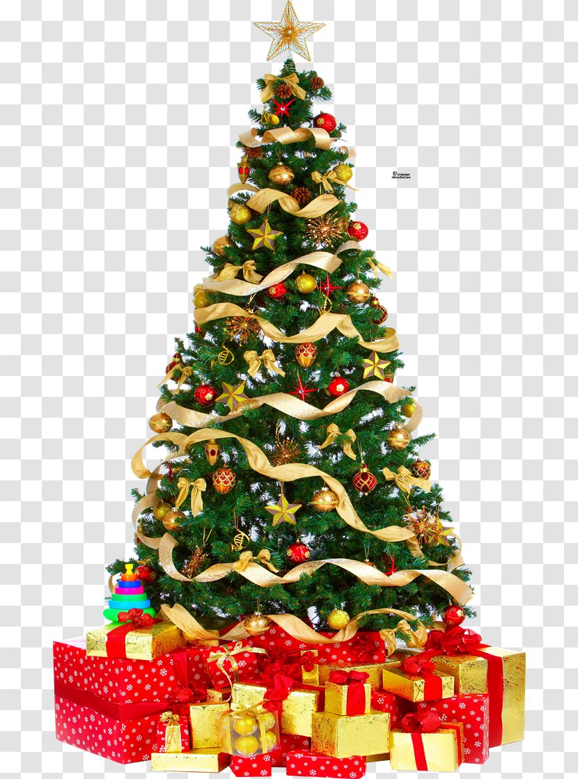 Christmas Tree Lights - Tradition - Free Download Transparent PNG