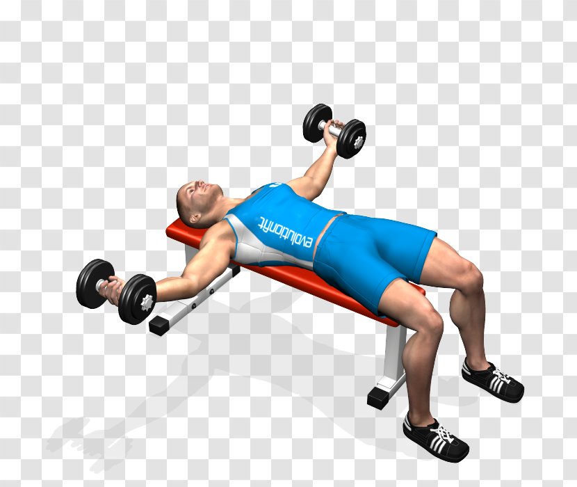 Dumbbell Bench Press Fly Exercise - Flower - Fitness Beauty Transparent PNG