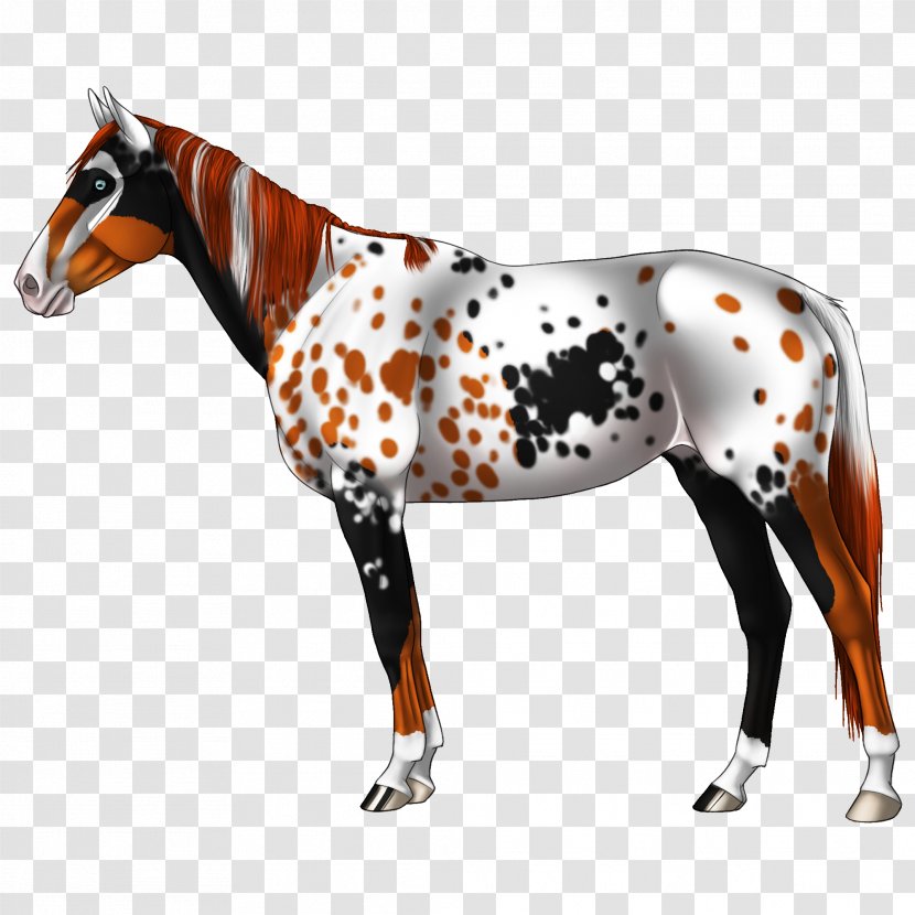 Stallion Foal Mare Mustang Pony Transparent PNG