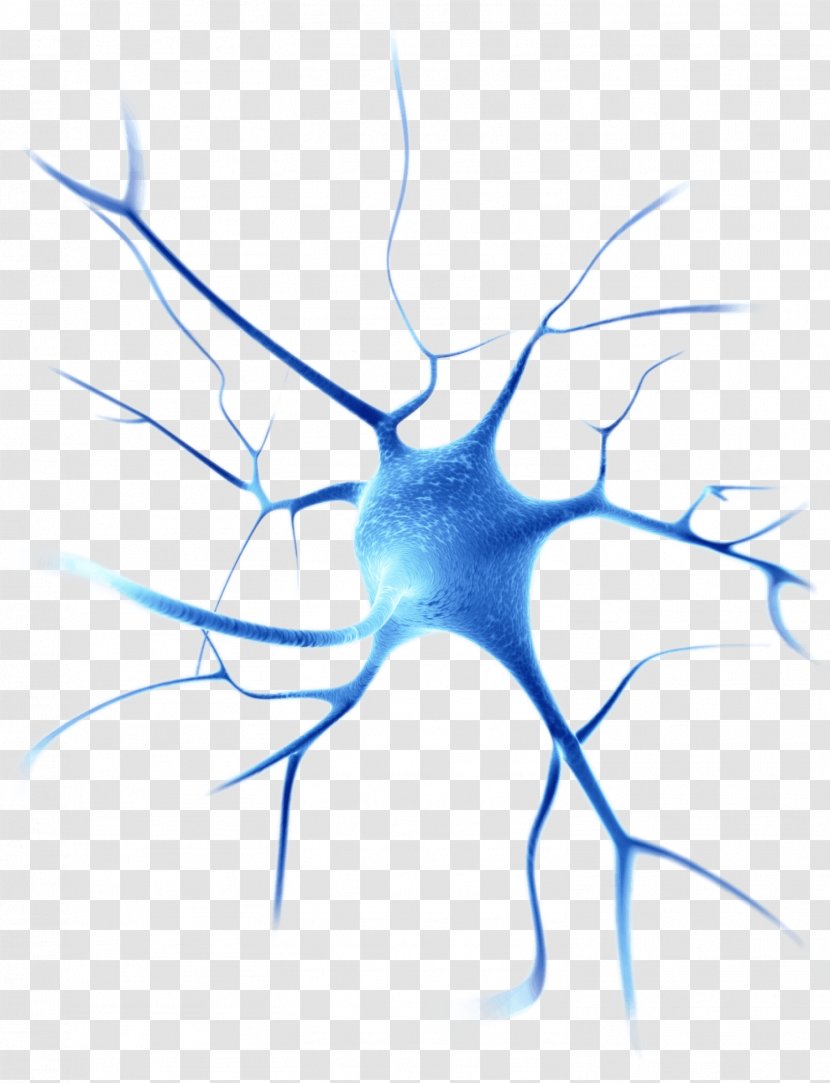Neuroscience Gene Therapy Disease Cell Neuron - Tree - Nervous Transparent PNG