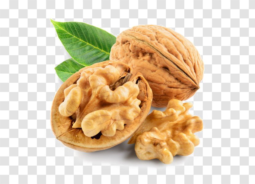 Walnut Drupe Juglans Food - Tree Nuts Transparent PNG