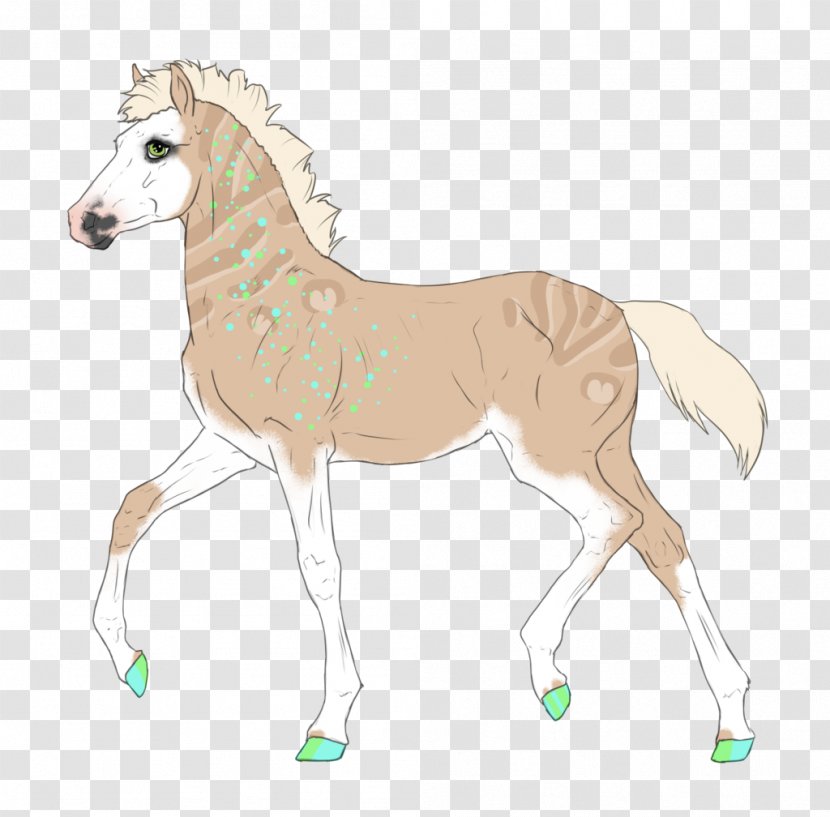 Foal Stallion Mane Colt Mare - Rein - Mustang Transparent PNG