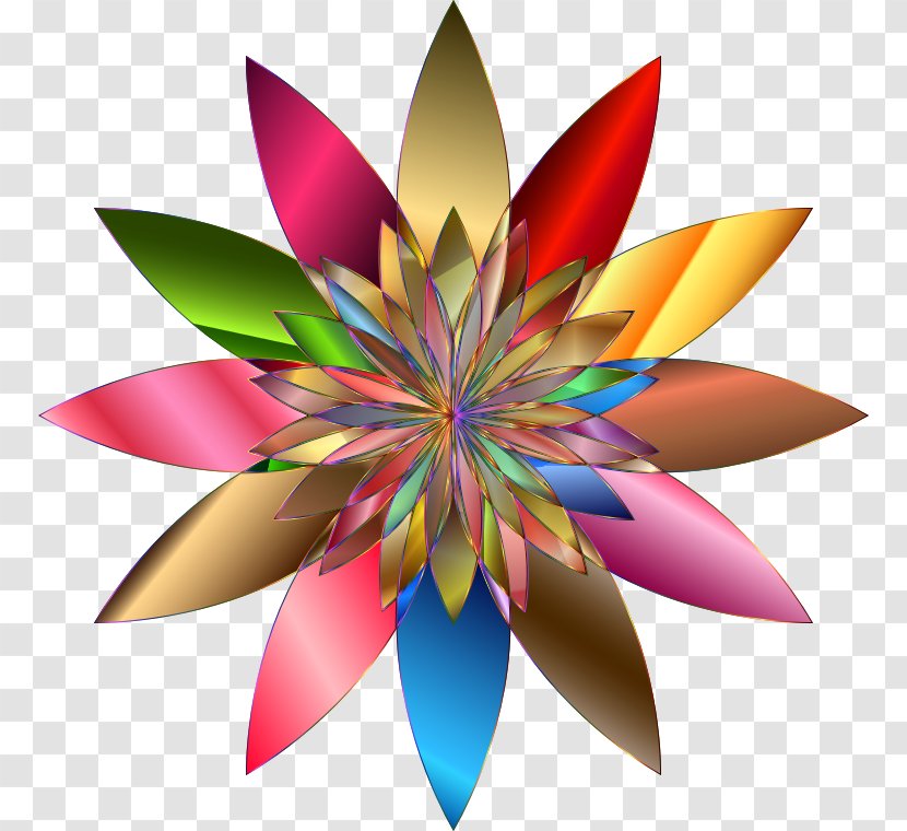 Desktop Wallpaper Flower Clip Art - Petal - Background Transparent PNG