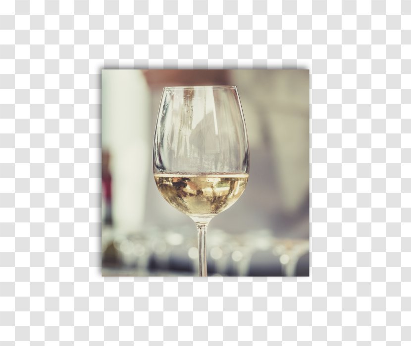 Wine Tasting Cafe Common Grape Vine And Food Matching - Alcoholic Drink Transparent PNG