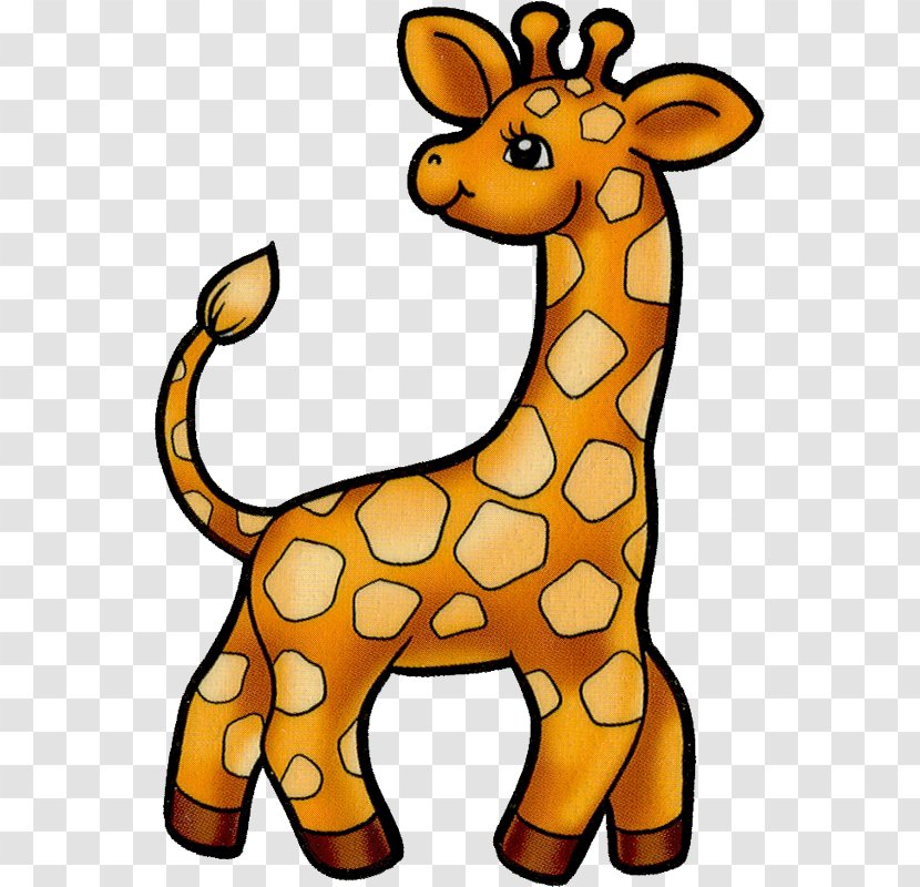 Baby Giraffes Clip Art Northern Giraffe - Bellypaint Transparent PNG