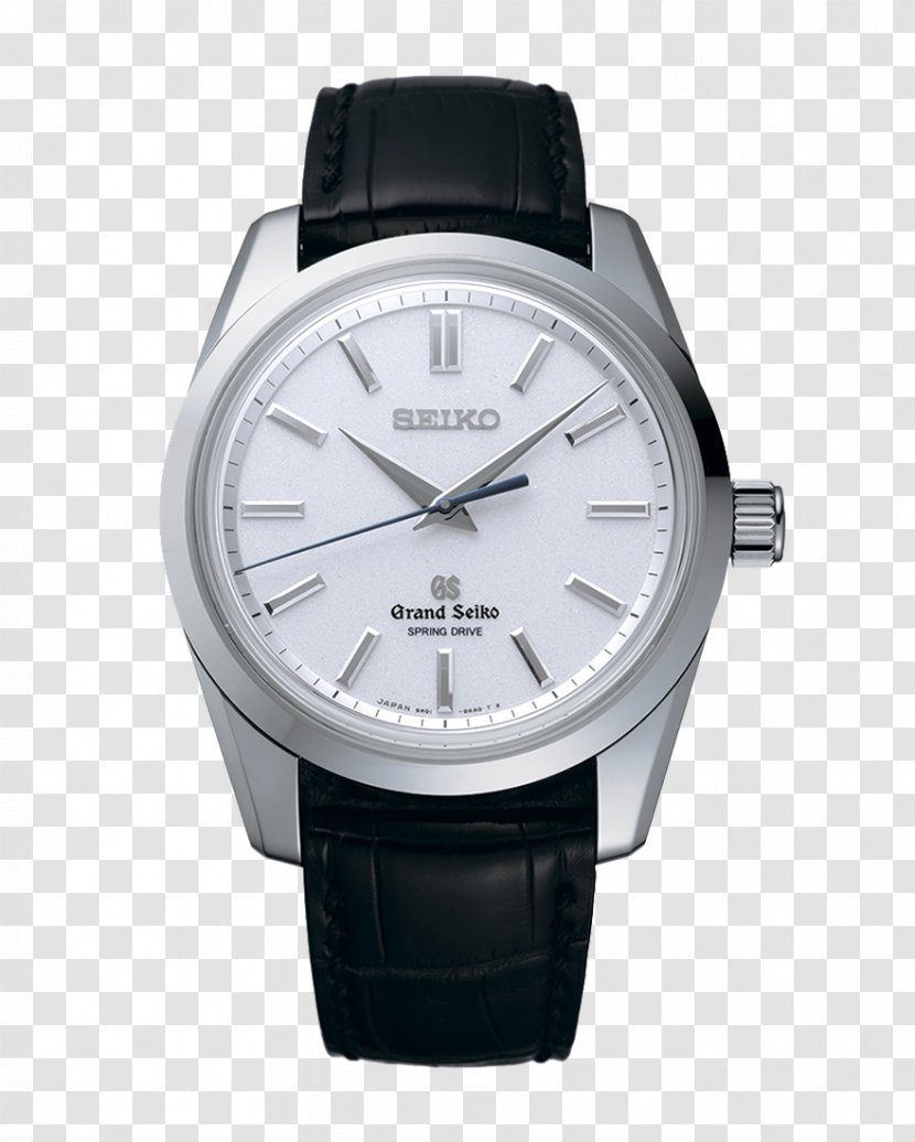 Patek Philippe & Co. Alpina Watches Calatrava Complication - Cartoon - Watch Transparent PNG