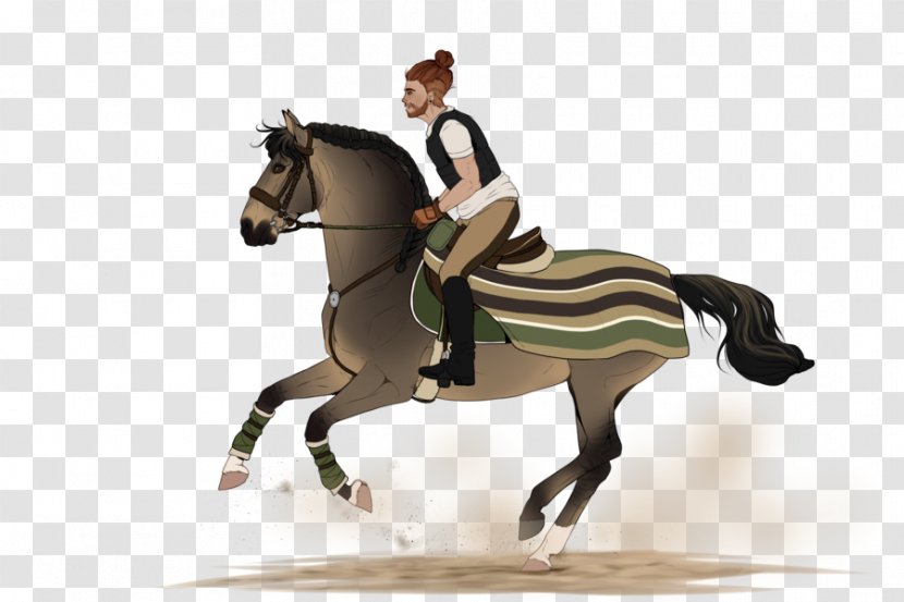 Hunt Seat Horse Stallion Drawing Equestrian - Harness Transparent PNG