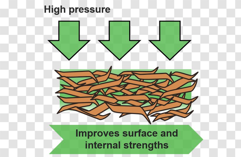 Paper Starch Leaf Grasses Dietary Fiber - High Pressure Cordon Transparent PNG