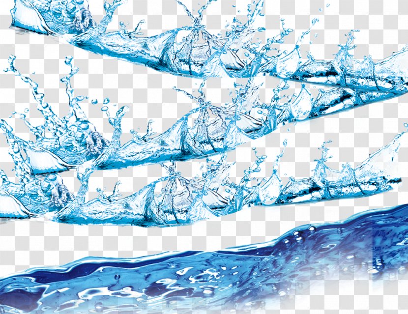 A Variety Of Water Splashing - Branch - Aqua Transparent PNG