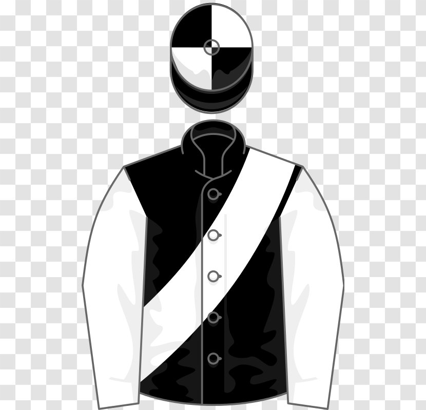 Thoroughbred Nichols Canyon Horse Racing Foal Free Eagle - Silks - Suit Transparent PNG