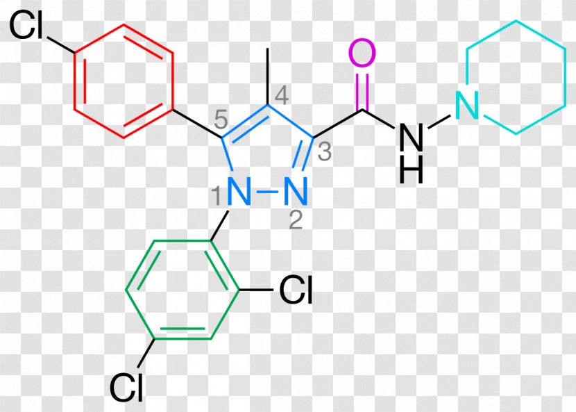 3-pyridinol Pharmaceutical Drug 4-Pyridone Rimonabant 2-Pyridone - Organization - Intravenous Therapy Transparent PNG