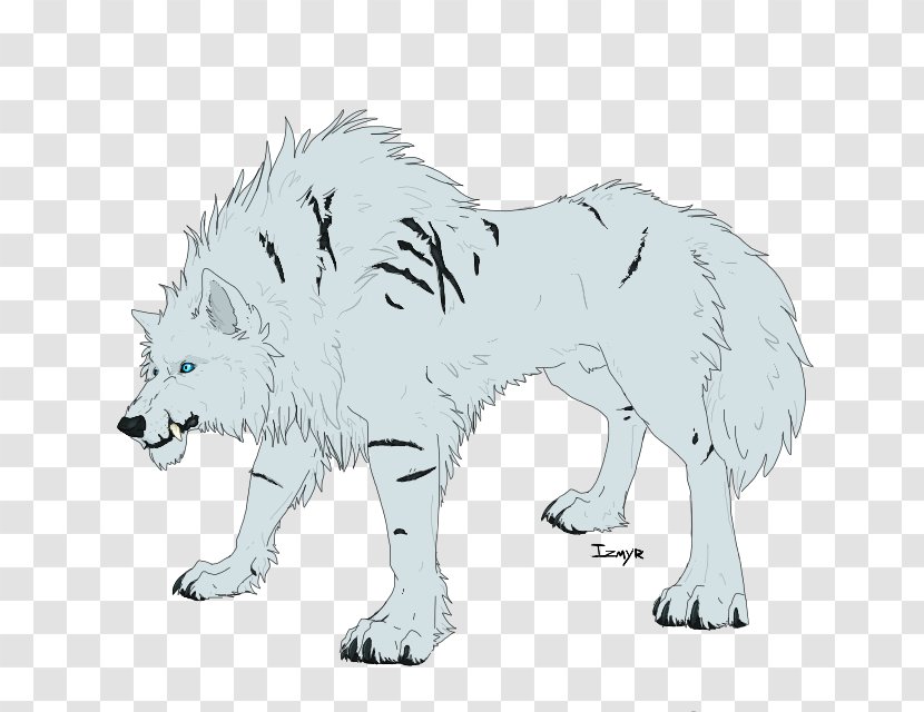 Cat Bear Dog Mammal Canidae - Tail Transparent PNG