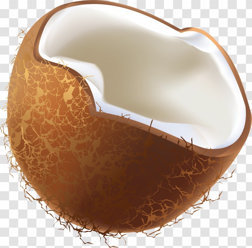 Coconut Nucule Euclidean Vector - Image Transparent PNG