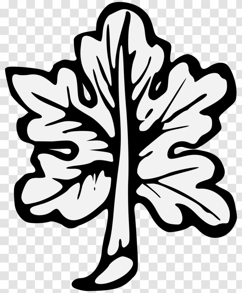 A Display Of Heraldrie The Principles Design Common Fig Fiddle-leaf Clip Art - John Guillim - Leaf Transparent PNG