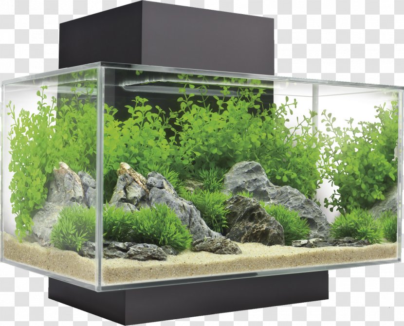Aquariums Aquascaping Light Fishkeeping - Lightemitting Diode - Aquarium Decoration Transparent PNG