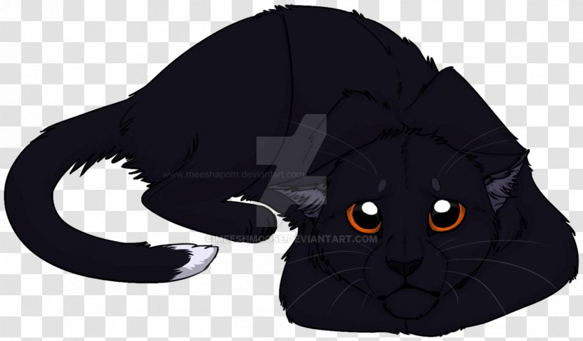 Black Cat Into The Wild Warriors Erin Hunter - Graypool Transparent PNG