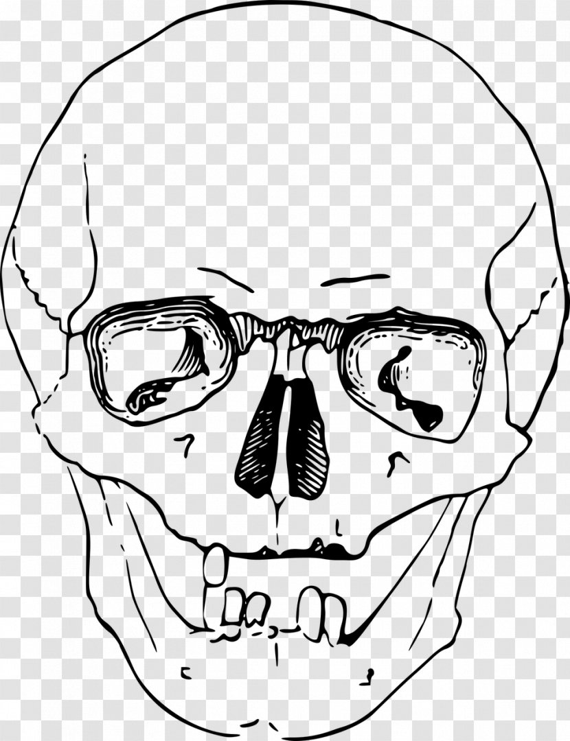 Human Skull Calavera Drawing Clip Art - Cartoon Transparent PNG