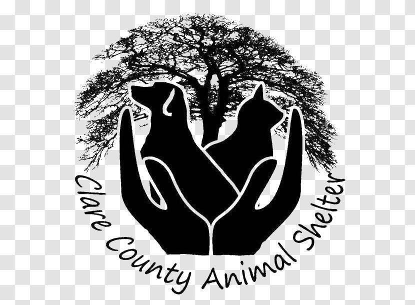 Dog Animal Shelter Abyssinian Cat Somali Rescue Group Transparent PNG