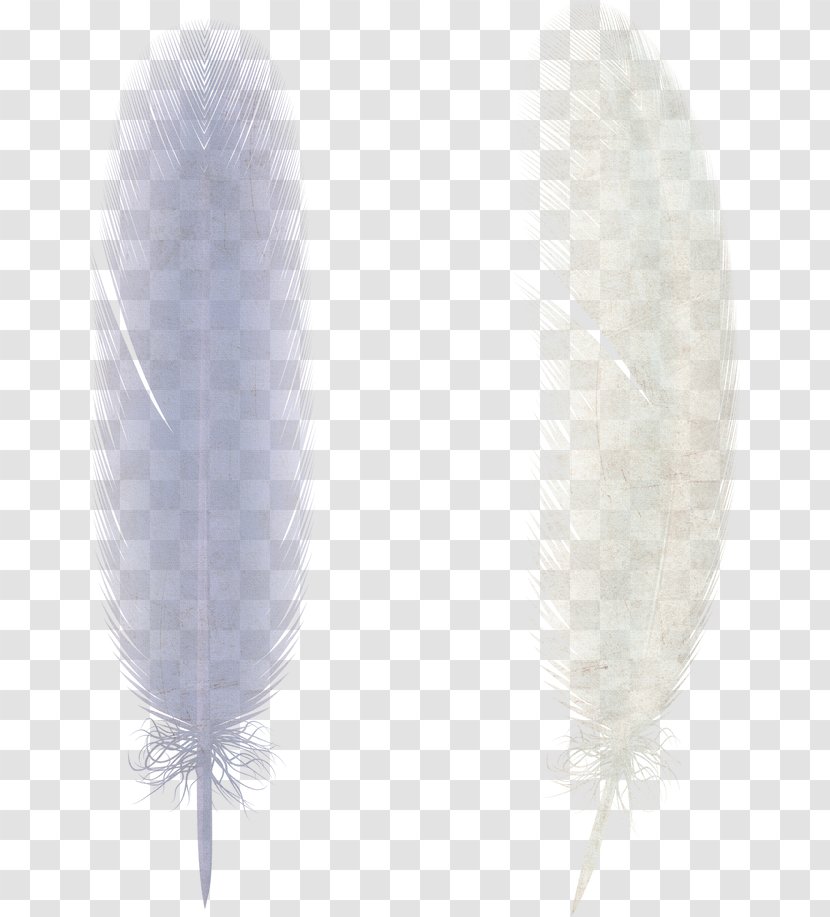 Bird Feather Wing - Material - White Feathers Transparent PNG