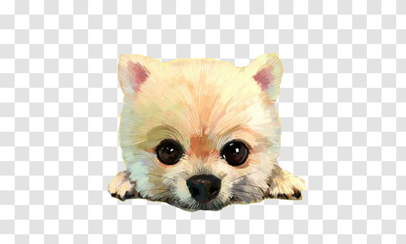 Pomeranian Cartoon Illustration - Dog Like Mammal - Sell Meng Material Picture Avatar Transparent PNG
